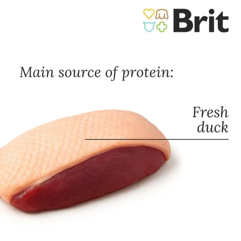 Brit Fresh And & Hirse Active Run & Work