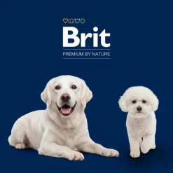 Brit Premium by Nature Junior Large Breed med kylling