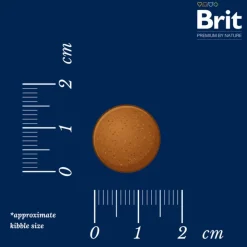 Brit Premium by Nature Junior Large Breed med kylling