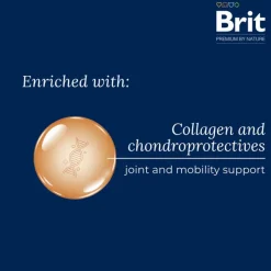 Brit Premium by Nature Senior L/XL