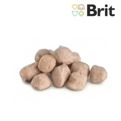 Brit Raw Treat Skin & Coat Freeze-dried Treat and Topper