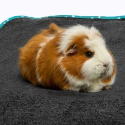 Bunny Bedding Easy Fleecetæppe