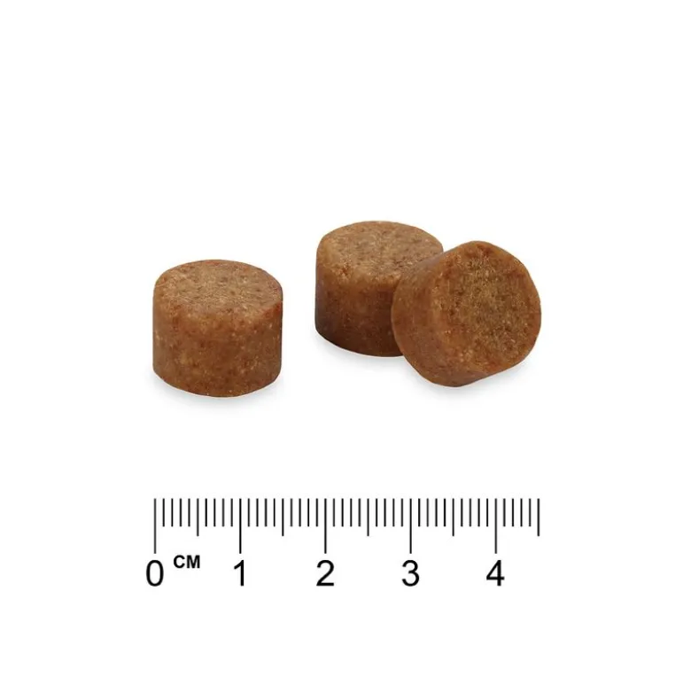 Calming Supplements Chews - Concept for Life