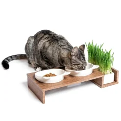 CanadianCat Company Cat Diner Foderbar