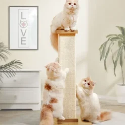Canadian Cat Company Kenny kradsetræ