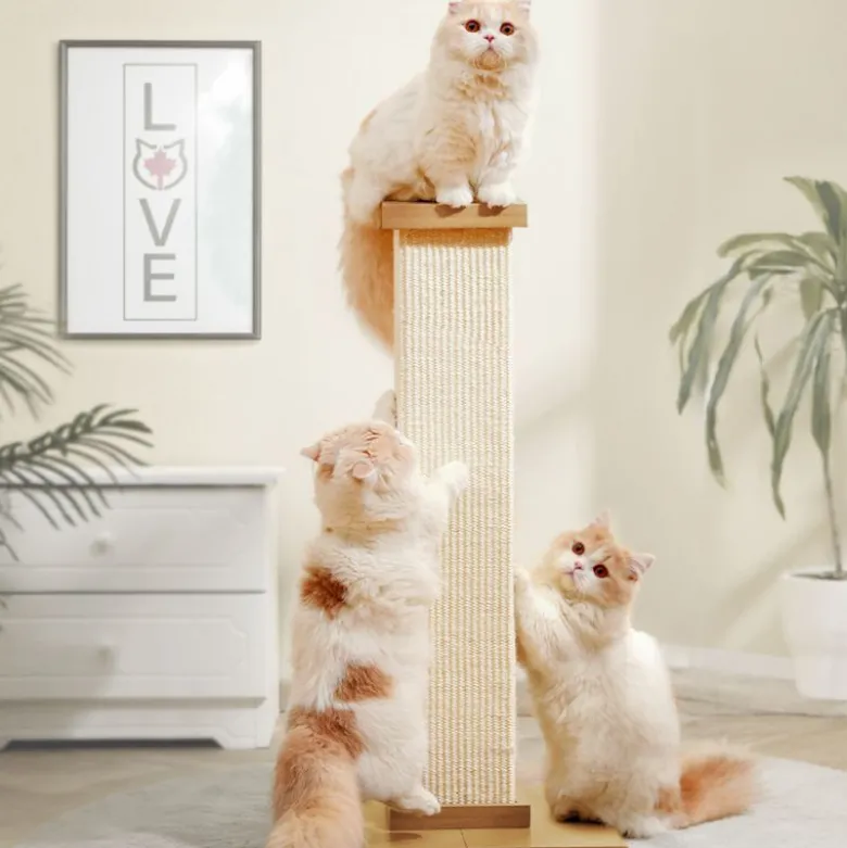 Canadian Cat Company Kenny kradsetræ
