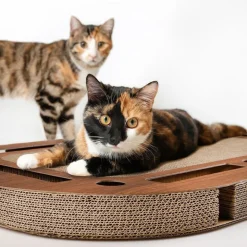 Canadian Cat Company PlayPlate XL valnød