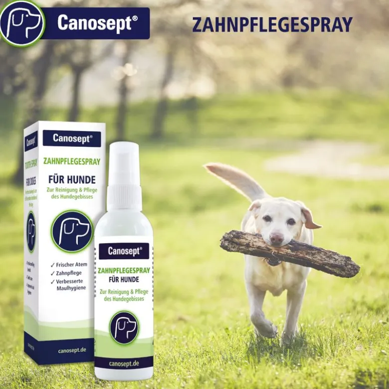 Canosept tandpleje til hunde