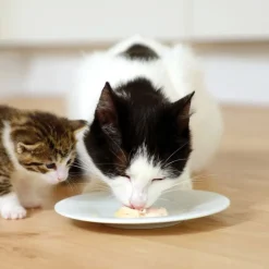 Catit Creamy Cups 4 x 25 g