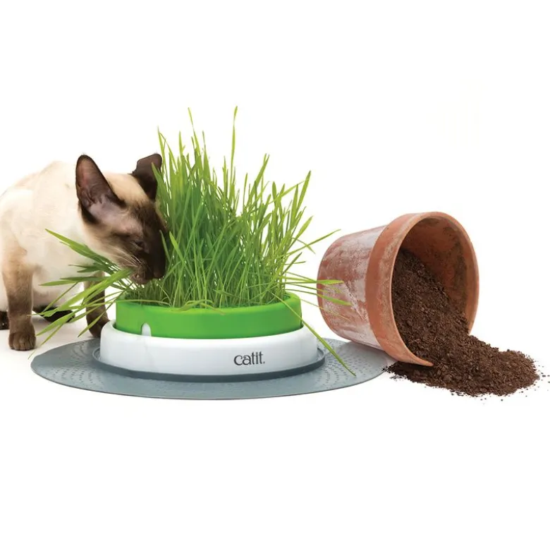 Catit Senses 2.0 græsgryde