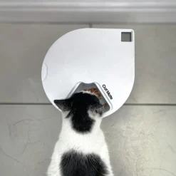 Cat Mate Foderautomat C500