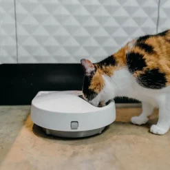 Cat Mate Foderautomat C500