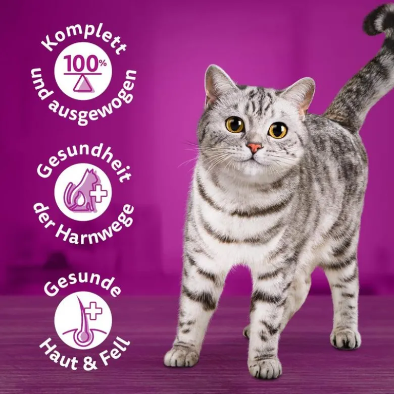 catz finefood i dåse 6 x 800 g