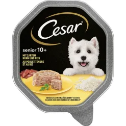 Cesar Bowl Senior 10+