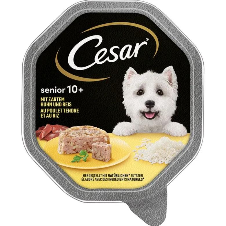 Cesar Bowl Senior 10+