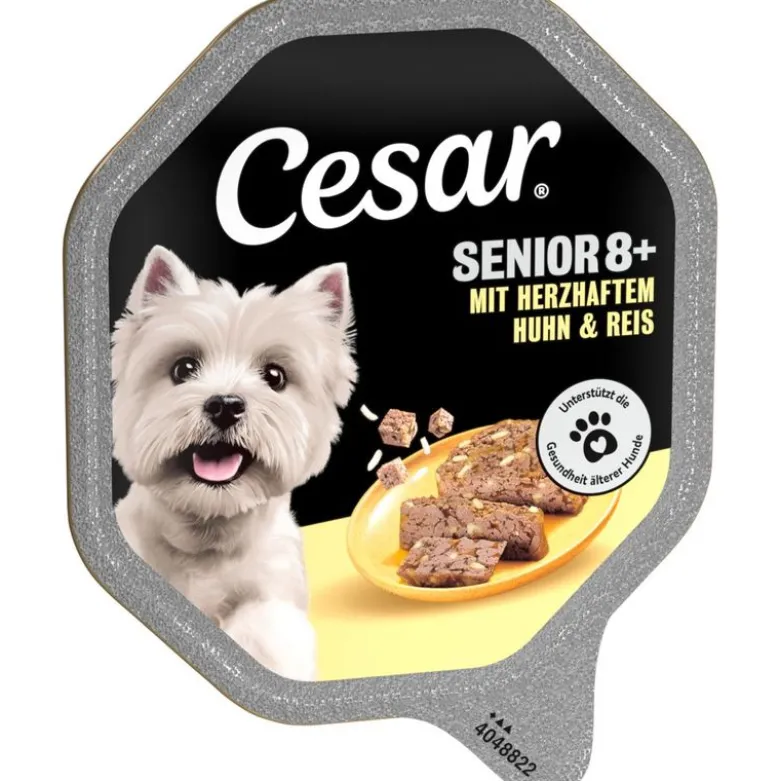 Cesar Bowl Senior 10+