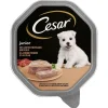 Cesar Junior Bowl