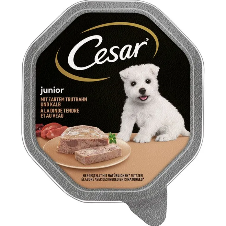 Cesar Junior Bowl