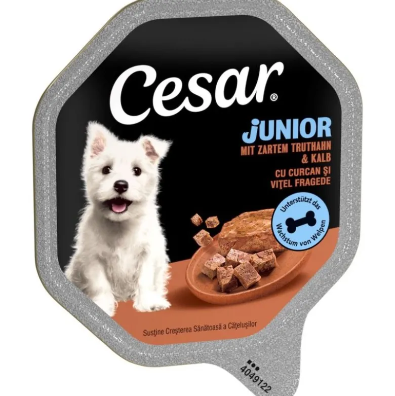 Cesar Junior Bowl