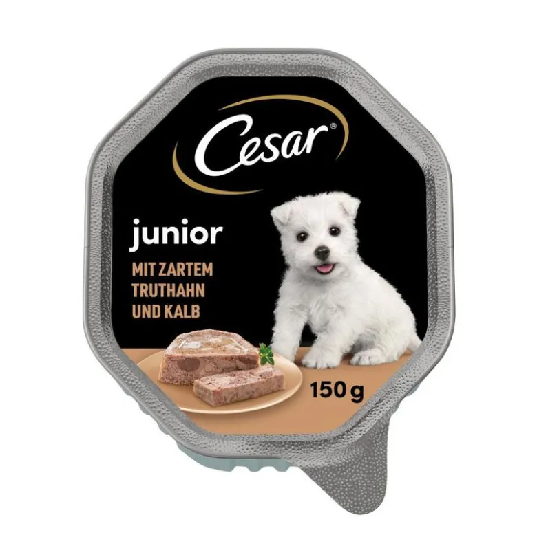 Cesar Junior Bowl