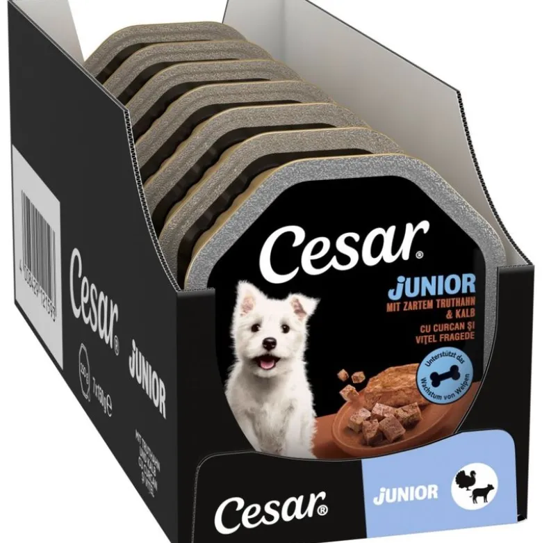 Cesar Junior Bowl