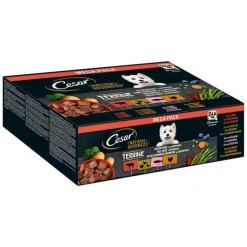 Cesar Natural Goodness kornfri med superfoods 24 x 100 g