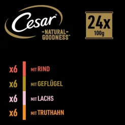 Cesar Natural Goodness kornfri med superfoods 48 x 100 g