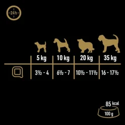 Cesar Natural Goodness kornfri med superfoods 48 x 100 g