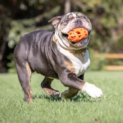 CHUCKIT! Air Fetch fodbold