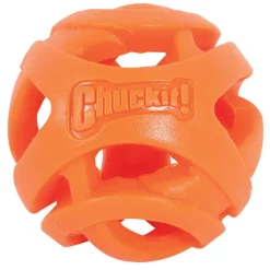 Chuckit! Breathe Right Fetch Ball