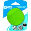 Chuckit! Erratic Ball