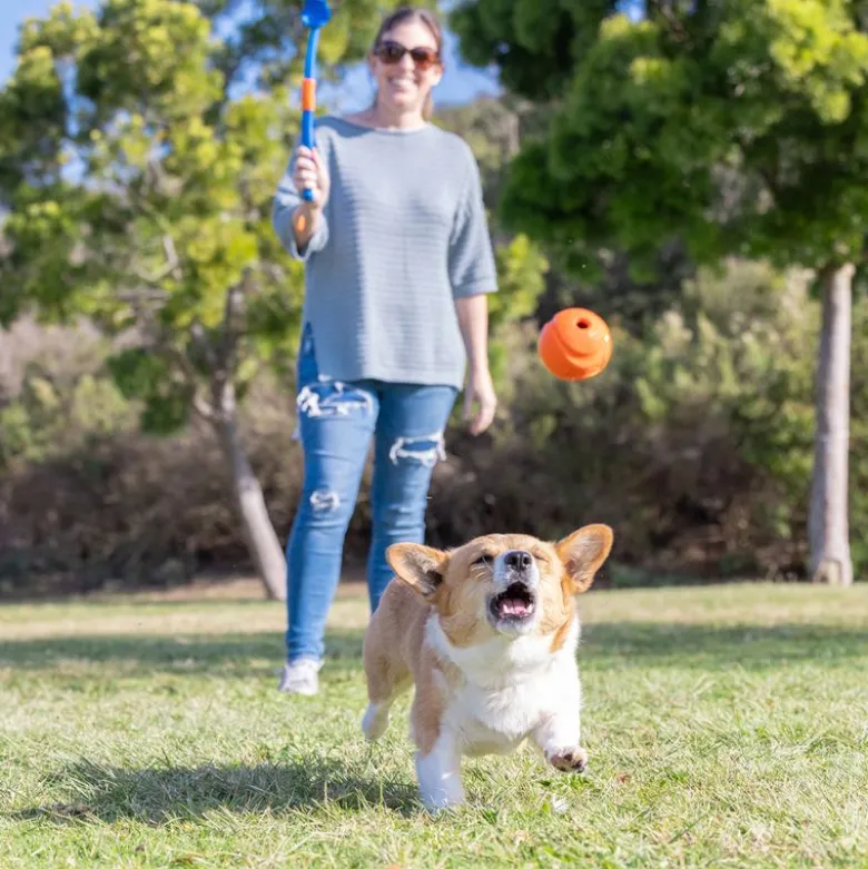 Chuckit! Fetch & Fold Mini Ball Launcher