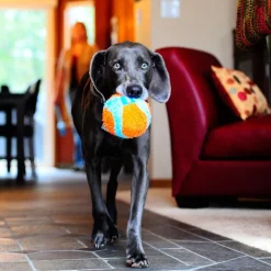 Chuckit! Indoor Ball