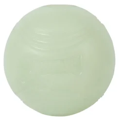 Chuckit! Max Glow Ball