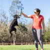 Chuckit! Sniff Fetch-bolde i beholder