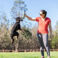 Chuckit! Sniff Fetch-bolde i beholder
