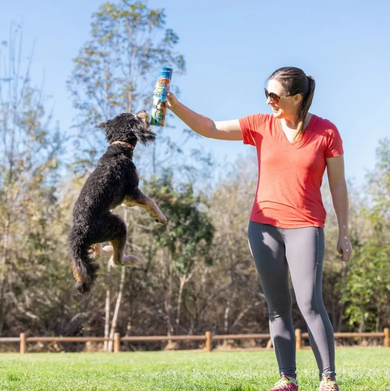 Chuckit! Sniff Fetch-bolde i beholder