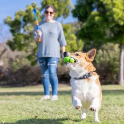 Chuckit! Sniff Fetch-bolde i beholder