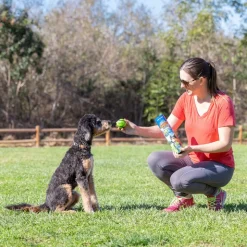 Chuckit! Sniff Fetch-bolde i beholder