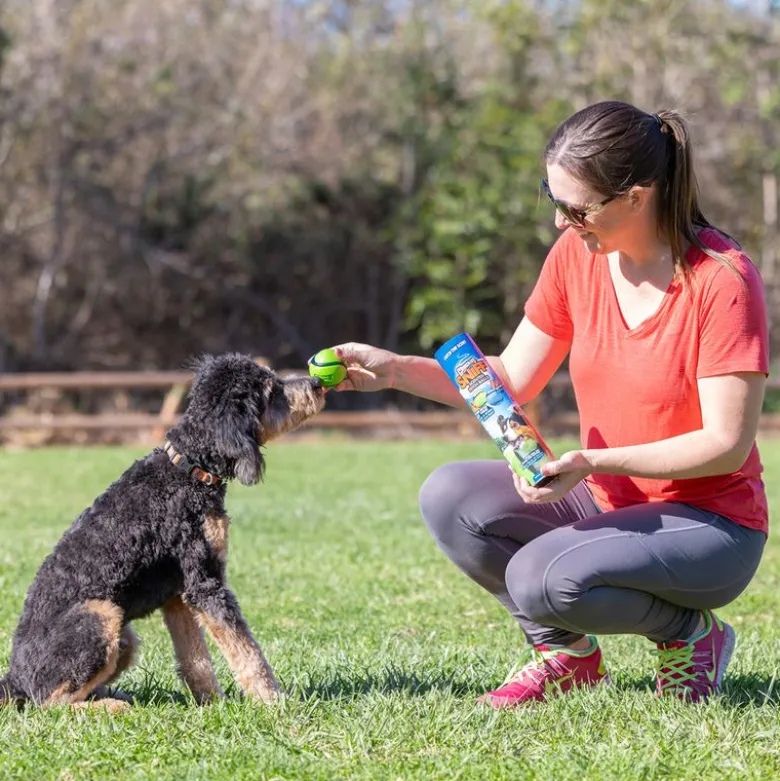 Chuckit! Sniff Fetch-bolde i beholder