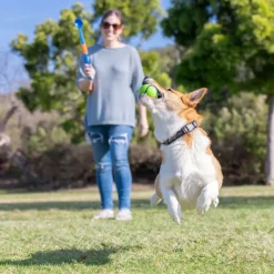 Chuckit! Sniff Fetch-bolde i beholder