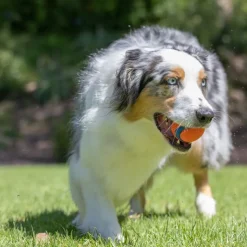 Chuckit! Ultra Ball