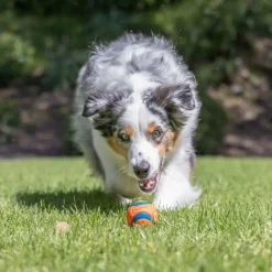 Chuckit! Ultra Ball