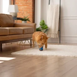 Chuckit! Ultra Ball S