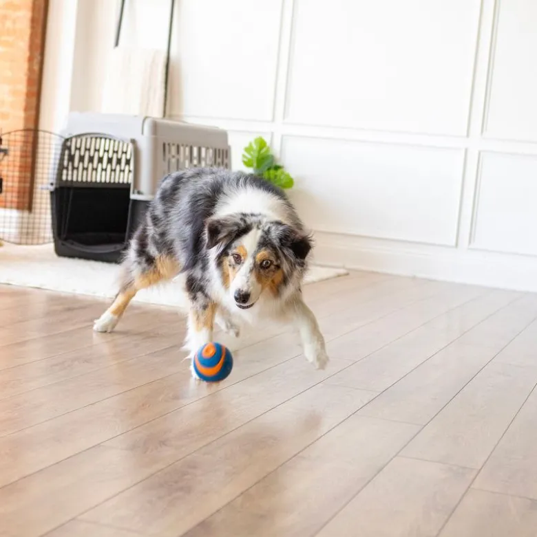 Chuckit! Ultra Ball S