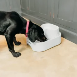 Closer Pets drikkefontæne, 6 liter