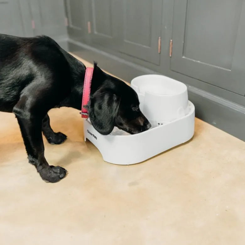 Closer Pets drikkefontæne, 6 liter