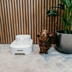 Closer Pets drikkefontæne, 6 liter
