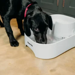 Closer Pets drikkefontæne, 6 liter