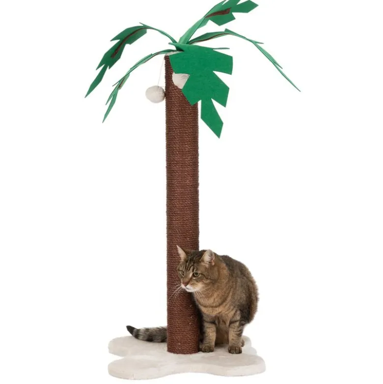 Coco Palm Kradsestamme